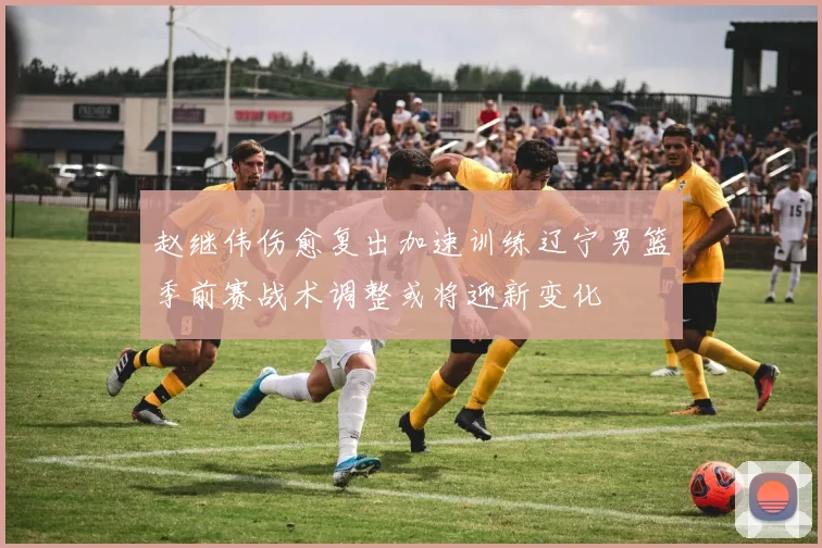 赵继伟伤愈复出加速训练辽宁男篮季前赛战术调整或将迎新变化